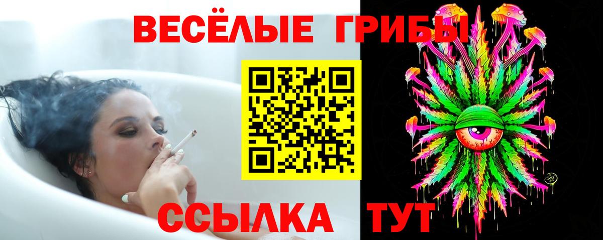 как найти наркотики  Галлюциногенные грибы Psilocybe  Вход с VPN  Уссурийск 